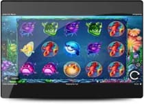 Highflybet casino